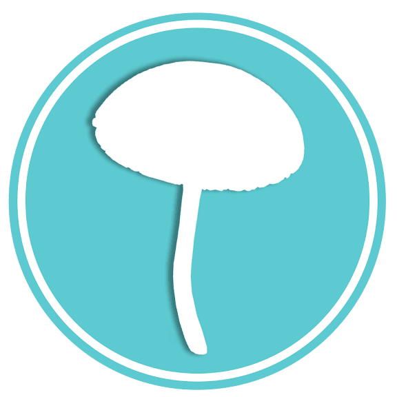 Comprar Cogumelos Mágicos Psilocybe Cubensis