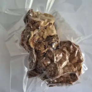 Cogumelos Juba de Leão